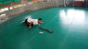 Укус змеи. Поцелуй кобры.