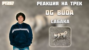 РЕАКЦИЯ НА ТРЕК OG Buda — " САБАКА "