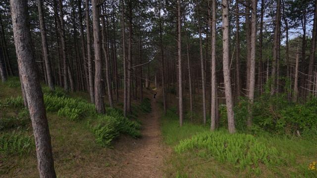 Draadloze microfoon voor je camera! // Boya BY-WM4 Pro-K2 Duo Review смотреть онлайн