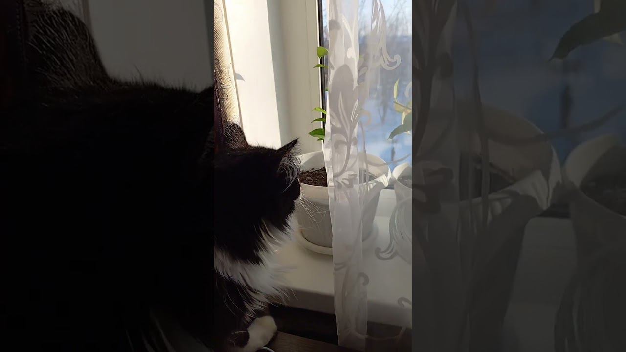 Кто там? смотреть онлайн