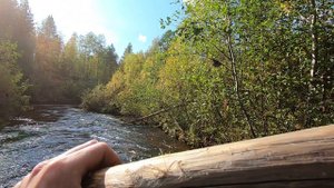 Сентябрь 2019.часть 2