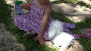 Гуляем с игрушечной собачкой Флафи в парке Ха-Надив. טיול בפארק יד הנדיב וזכרון יעקב