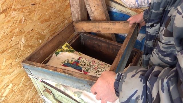 Время Среднерусской пчелы смотреть онлайн