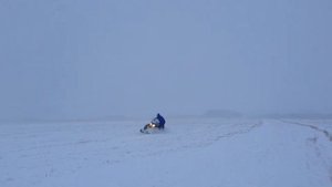 BRP Tundra WT REV-XU Учимся Бундокингу на равнине