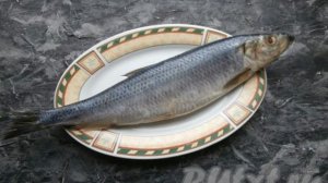 Как вкусно посолить селёдку кусочками с луком в масле в домашних условиях