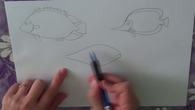 Как нарисовать рыбу поэтапно. смотреть онлайн