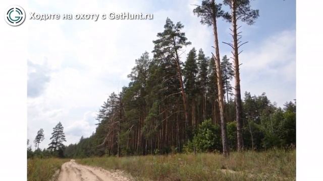 Охота в Рязанской области – Сасовская РОО ОиР 