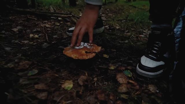 7 ДНЕЙ В ЛЕСУ БЕЗ НИЧЕГО