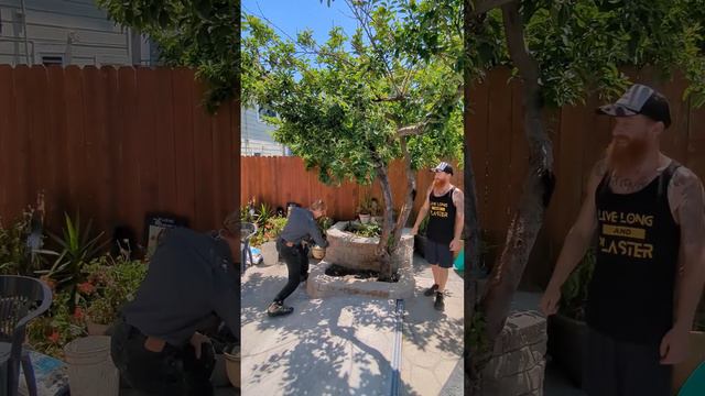 Backyard BBQ hanging out with family. смотреть онлайн