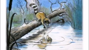 Сказка - Крошка Енот и тот, кто сидит в пруду