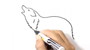 How to DRAW a WOLF Easy Step by Step