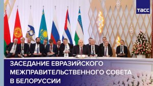 Заседание Евразийского межправительственного совета в Белоруссии
