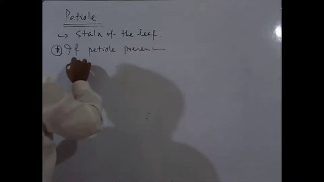 CHSE NEET: Revision Day 4 - Botany - Plant Morphology - Leaf смотреть онлайн