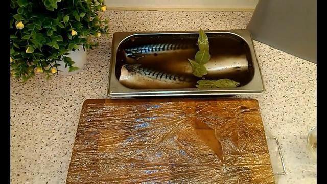 СКУМБРИЯ ПРОВЕСНАЯ ПО ГОСТ 7448 - 75 г., ГОСТ 18223 - 72 г./ suspended mackerel