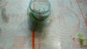 МАРИНОВАННЫЕ ОГУРЧИКИ НА ЗИМУ на 1 литровую банку Хрустящие, ароматные! Рецепт просят все!