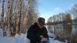 Эта ПРИМАНКА меня УДИВИЛА! Зимний спиннинг. Твичинг в мороз. Иван Кашицин.