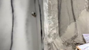 Музей динозавров в штате Монтана.