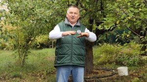 Влагозарядковый полив СПАСЕТ ваши деревья!