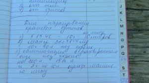 У вас будет шикарное цветение роз .Подкормка и обработки от вредителей.Результаты моих действий.