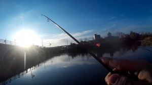 Проба Gamakatsu LUXXE Yoihime S54FL-solid