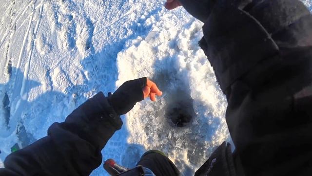 толстолоб на гирлянду смотреть онлайн