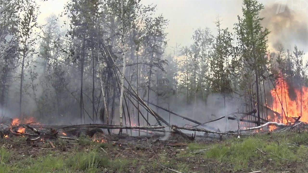 В следствии лесных пожаров. Пожары. Лесные пожары. Лесные пожары в Ханты Мансийске. Пожар в тайге.