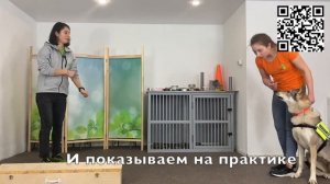 Онлайн-курс «НОУЗВОРК ДЛЯ ВСЕХ!»