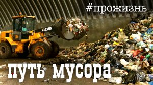 Специальный репортаж «Путь мусора» | #прожизнь