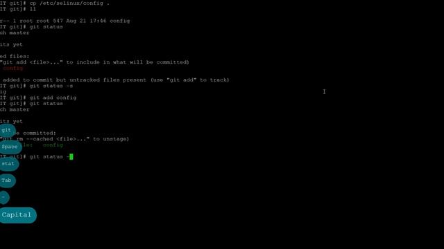 Проверка состояния файлов Git | Fedora Rawhide смотреть онлайн