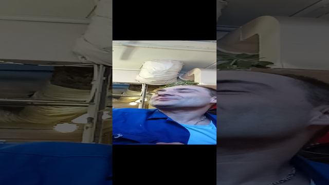 А это точно так?) #шутка #юмор #прикол #смех #забава #анекдот #собака #друг