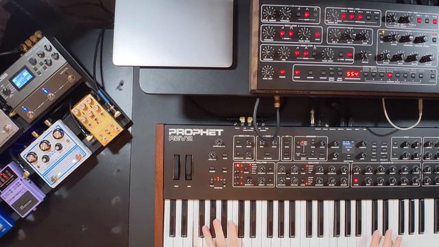 Prophet 5 Module - My First 8 Patches смотреть онлайн
