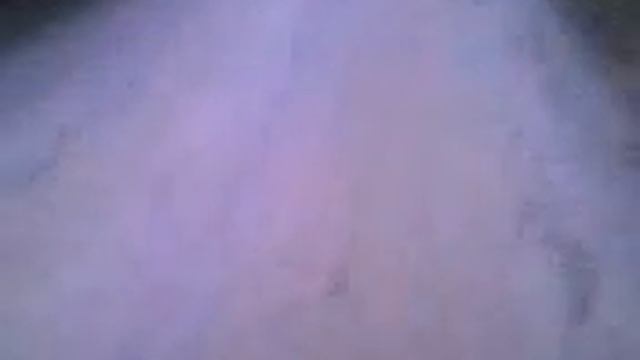 Мы в лесу смотреть онлайн