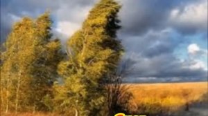 Физические явления природы. Презентация.  7 класс.