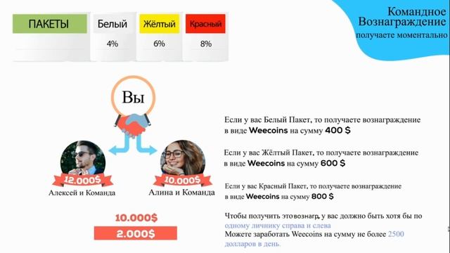 МАРКЕТИНГОВЫЙ ПЛАН ЗАРАБОТКА WEECOINS