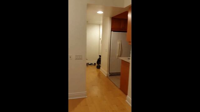 Сняли первую квартиру в Торонто смотреть онлайн