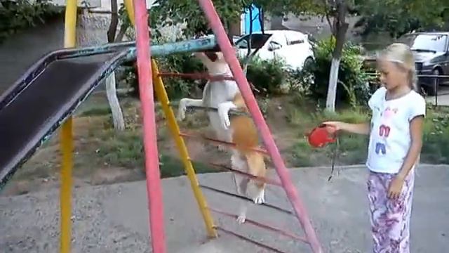 stafford Бакс и его тренер 8мес