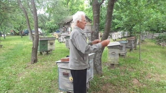 Пчёлы ( Собрание пчеловодов - НАРУЖНОЕ УТЕПЛЕНИЕ УЛЬЕВ) смотреть онлайн