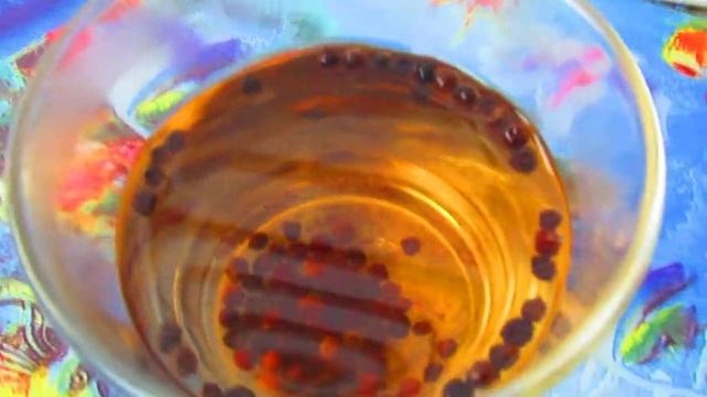 Зачем долгожители пьют настой из черного перца  #shorts смотреть онлайн