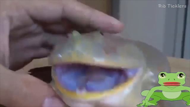 Frog Sounds - Noises смотреть онлайн