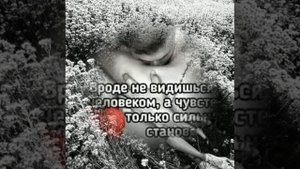 Я буду ждать тебя зимою и летом.