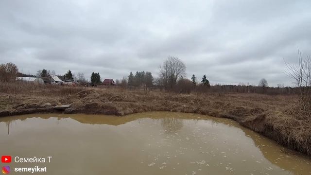 Восстанавливаю берега пруда на участке. Погибший карп из нашего пруда весной. Пруд в огороде на дач