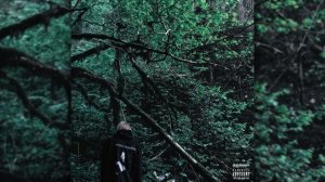 PHARAOH - PHOSPHOR (album slowed + reverb)