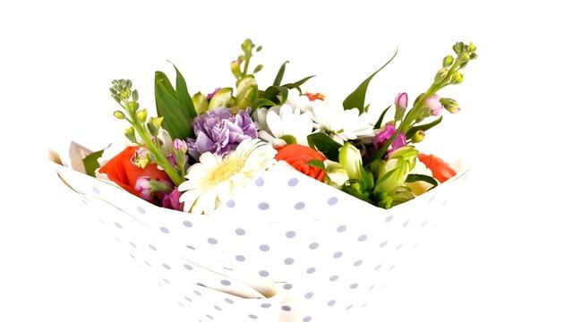 Букет из роз и гвоздик - Цветочный Маркет 24 смотреть онлайн