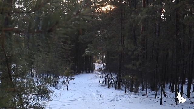 Погода на 6 ФЕВРАЛЯ 2023г смотреть онлайн