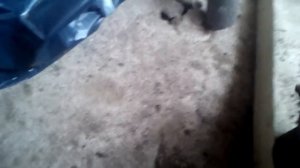 Бюджетные отбойники на передние стойки на шевроле лачетти