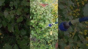Абиссинская скважина. Скважина на воду. с. Троицкое, Анивский район, Сахалинской области