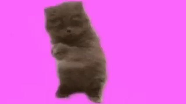 go kitty go 1 hour смотреть онлайн