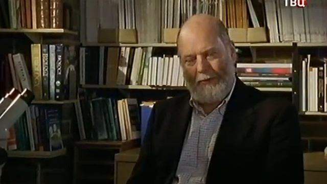 Муравьи (360p) смотреть онлайн