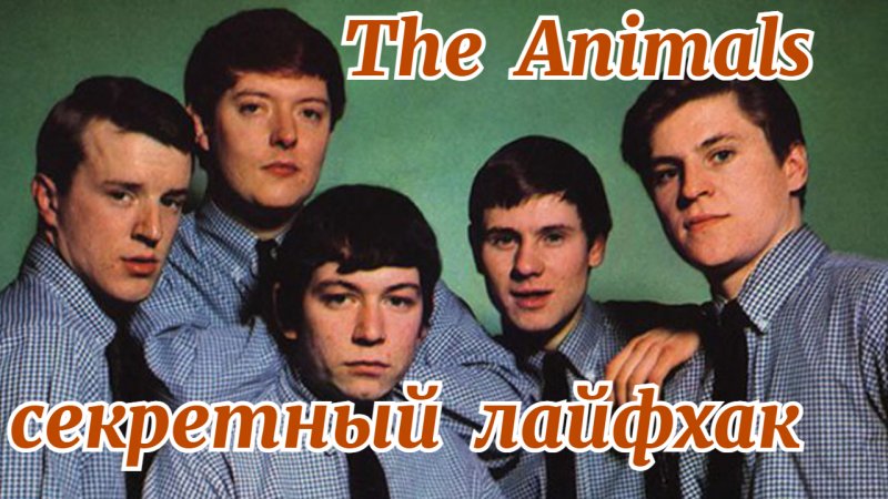 Лайфхак от группы The Animals