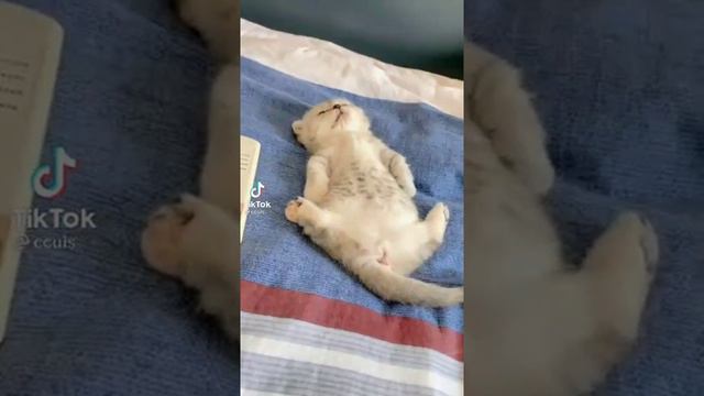 КРАСИВО СПАТЬ НЕ ЗАПРЕТИШЬ! смотреть онлайн